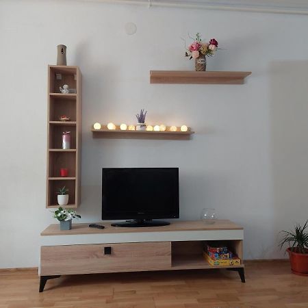 Apartament Ambrus Sighişoara Exterior foto