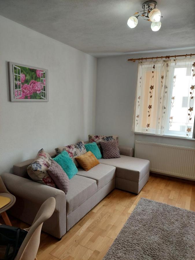 Apartament Ambrus Sighişoara Exterior foto
