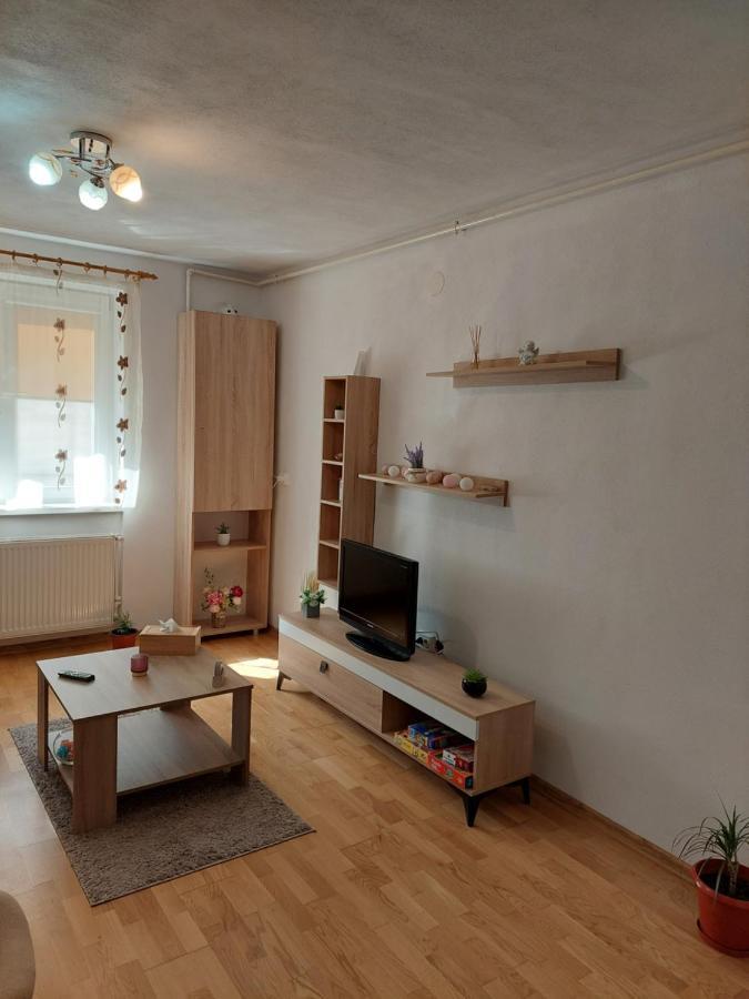 Apartament Ambrus Sighişoara Exterior foto