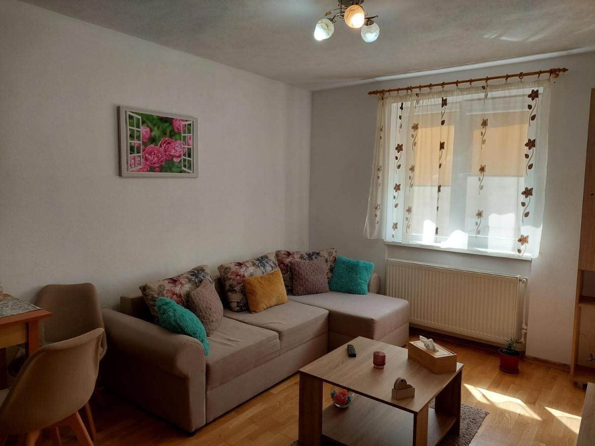 Apartament Ambrus Sighişoara Exterior foto